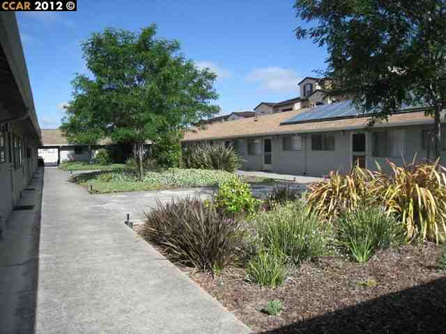 20670 FOREST AVE, CASTRO VALLEY, California 94546-4531, ,Comm Ri Multi-units 5+,For Sale,FOREST AVE,40581957