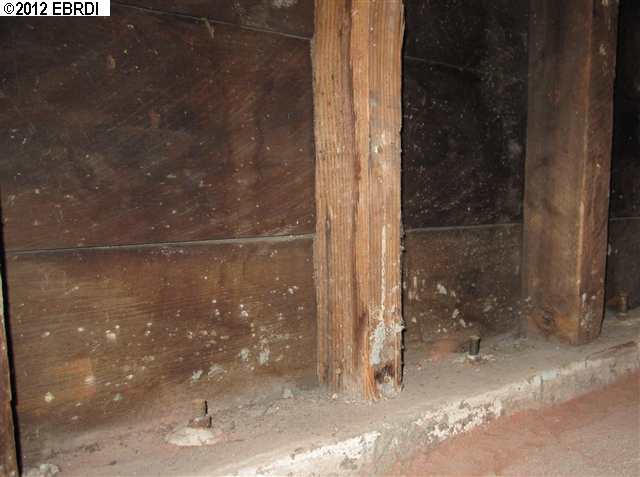243 Orange St, OAKLAND, California 94610, ,Comm Ri Multi-units 5+,For Sale,Orange St,40582743