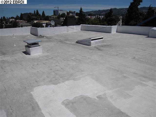 243 Orange St, OAKLAND, California 94610, ,Comm Ri Multi-units 5+,For Sale,Orange St,40582743