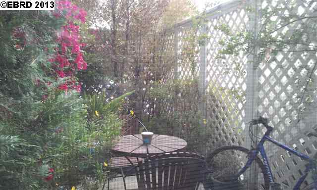 6387 DANA ST, OAKLAND, California 94609-1337, ,Comm Ri Multi-units 5+,For Sale,DANA ST,40602264