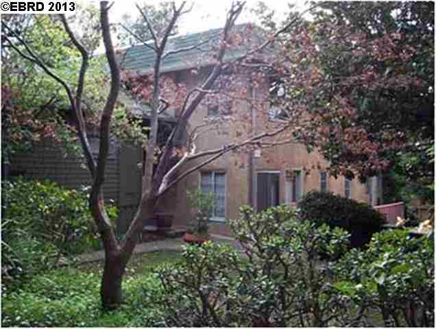 1433 Spruce Street, BERKELEY, California 94709, ,Comm Ri Multi-units 5+,For Sale,Spruce Street,40607322
