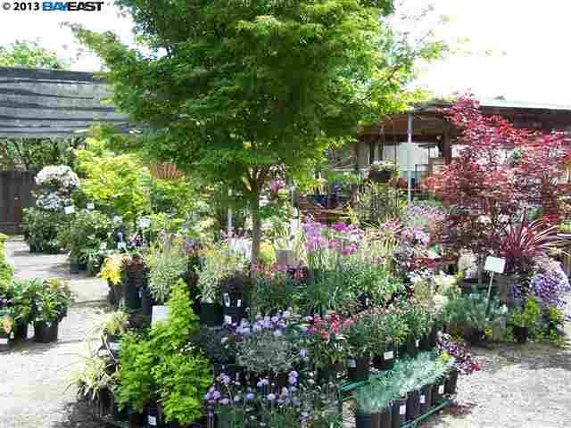 1113 LINCOLN AVE, ALAMEDA, California 94501-2323, ,Comm Lots And Land,For Sale,LINCOLN AVE,40934366