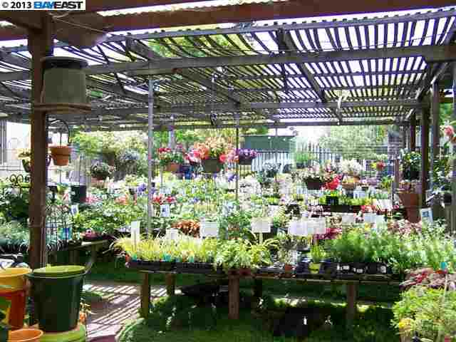 1113 LINCOLN AVE, ALAMEDA, California 94501-2323, ,Comm Lots And Land,For Sale,LINCOLN AVE,40934366