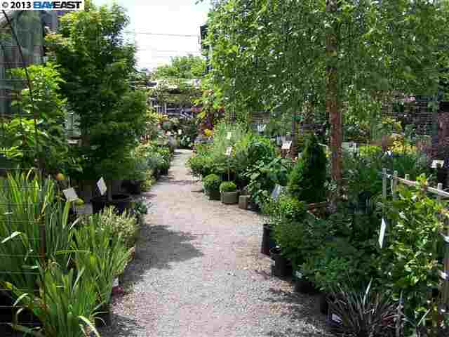 1113 LINCOLN AVE, ALAMEDA, California 94501-2323, ,Comm Lots And Land,For Sale,LINCOLN AVE,40934366