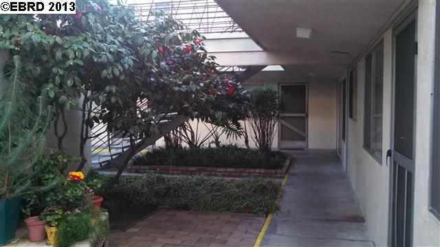 600 Alhambra, MARTINEZ, California 94553, ,Comm Ri Multi-units 5+,For Sale,Alhambra,40616196