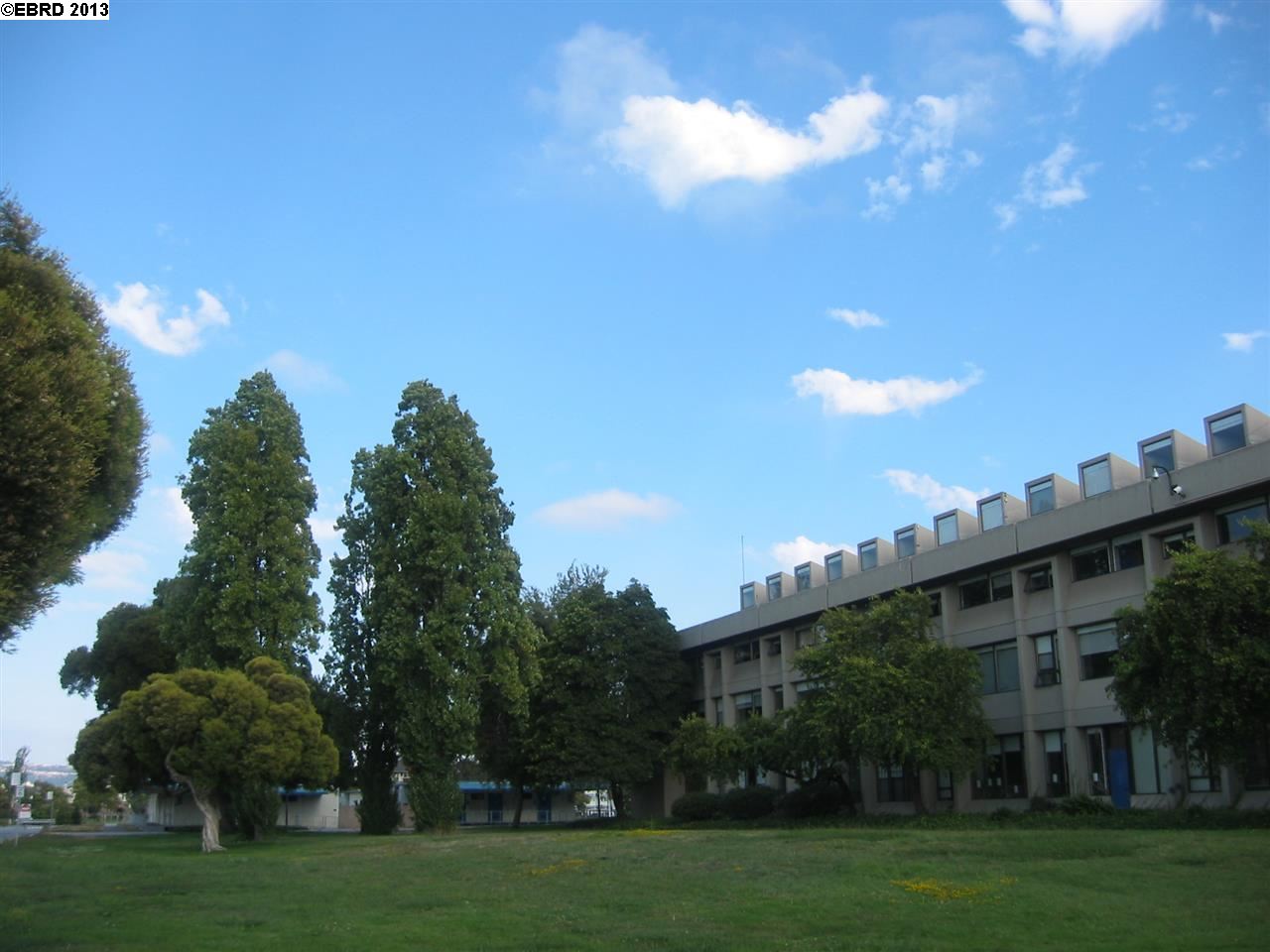 524 Buena Vista Ave, ALAMEDA, California 94501-2015, ,Comm Ri Multi-units 5+,For Sale,Buena Vista Ave,40626675