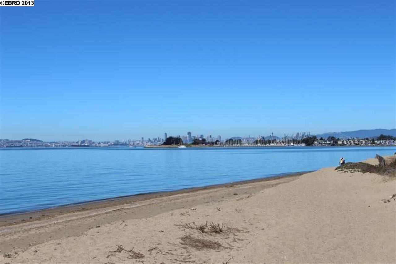 516 BUENA VISTA AVE, ALAMEDA, California 94501-2002, ,Comm Ri Multi-units 5+,For Sale,BUENA VISTA AVE,40629973