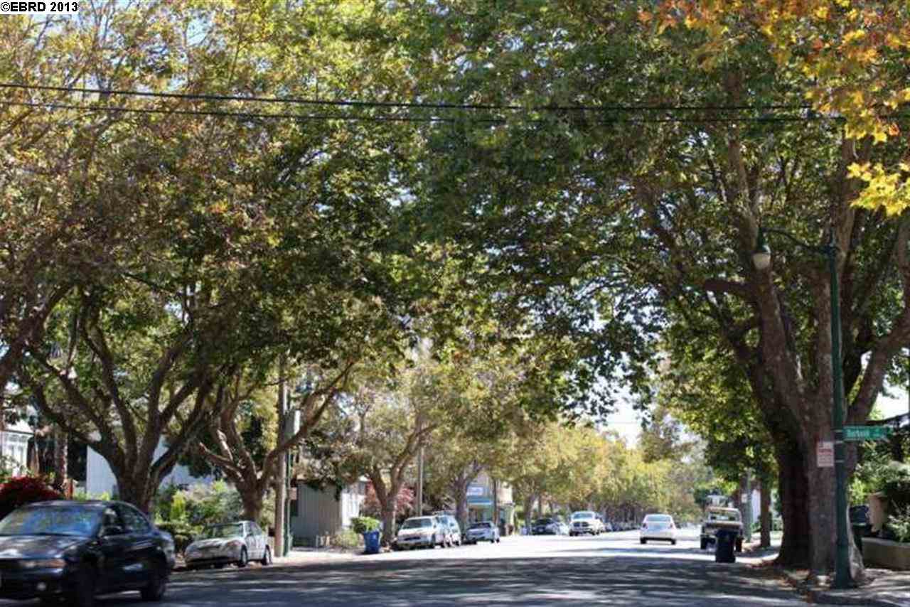 516 BUENA VISTA AVE, ALAMEDA, California 94501-2002, ,Comm Ri Multi-units 5+,For Sale,BUENA VISTA AVE,40629973