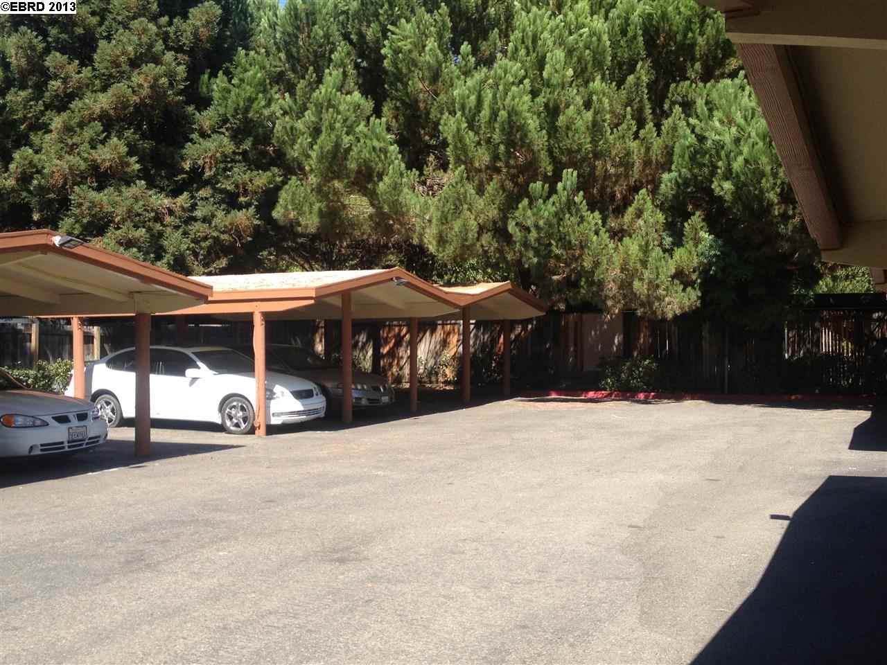 25190 CYPRESS AVE, HAYWARD, California 94544-2204, ,Comm Ri Multi-units 5+,For Sale,CYPRESS AVE,40631923
