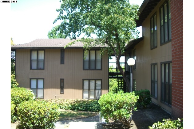 313 CAMELBACK RD, PLEASANT HILL, California 94523-1331, ,Comm Ri Multi-units 5+,For Sale,CAMELBACK RD,40638925
