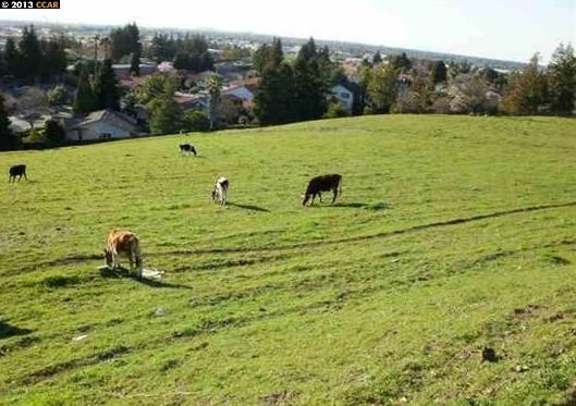 501 CRYSTALLINE DR, FREMONT, California 94539, ,Comm Lots And Land,For Sale,CRYSTALLINE DR,40934456