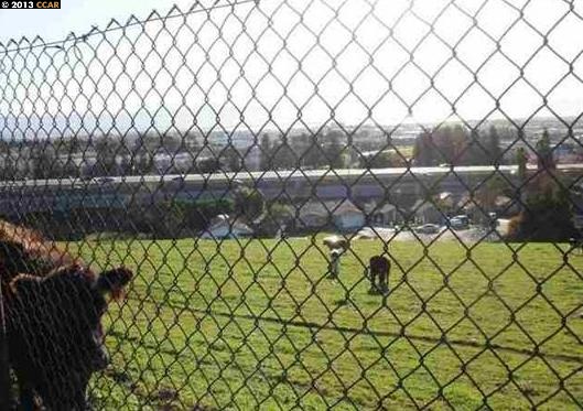 501 CRYSTALLINE DR, FREMONT, California 94539, ,Comm Lots And Land,For Sale,CRYSTALLINE DR,40934456