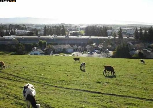 501 CRYSTALLINE DR, FREMONT, California 94539, ,Comm Lots And Land,For Sale,CRYSTALLINE DR,40934456