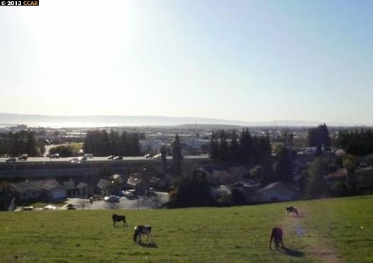 501 CRYSTALLINE DR, FREMONT, California 94539, ,Comm Lots And Land,For Sale,CRYSTALLINE DR,40934456