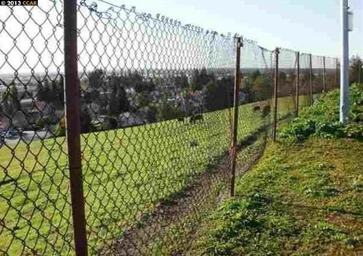 501 CRYSTALLINE DR, FREMONT, California 94539, ,Comm Lots And Land,For Sale,CRYSTALLINE DR,40934456