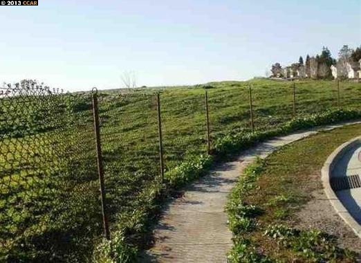 501 CRYSTALLINE DR, FREMONT, California 94539, ,Comm Lots And Land,For Sale,CRYSTALLINE DR,40934456