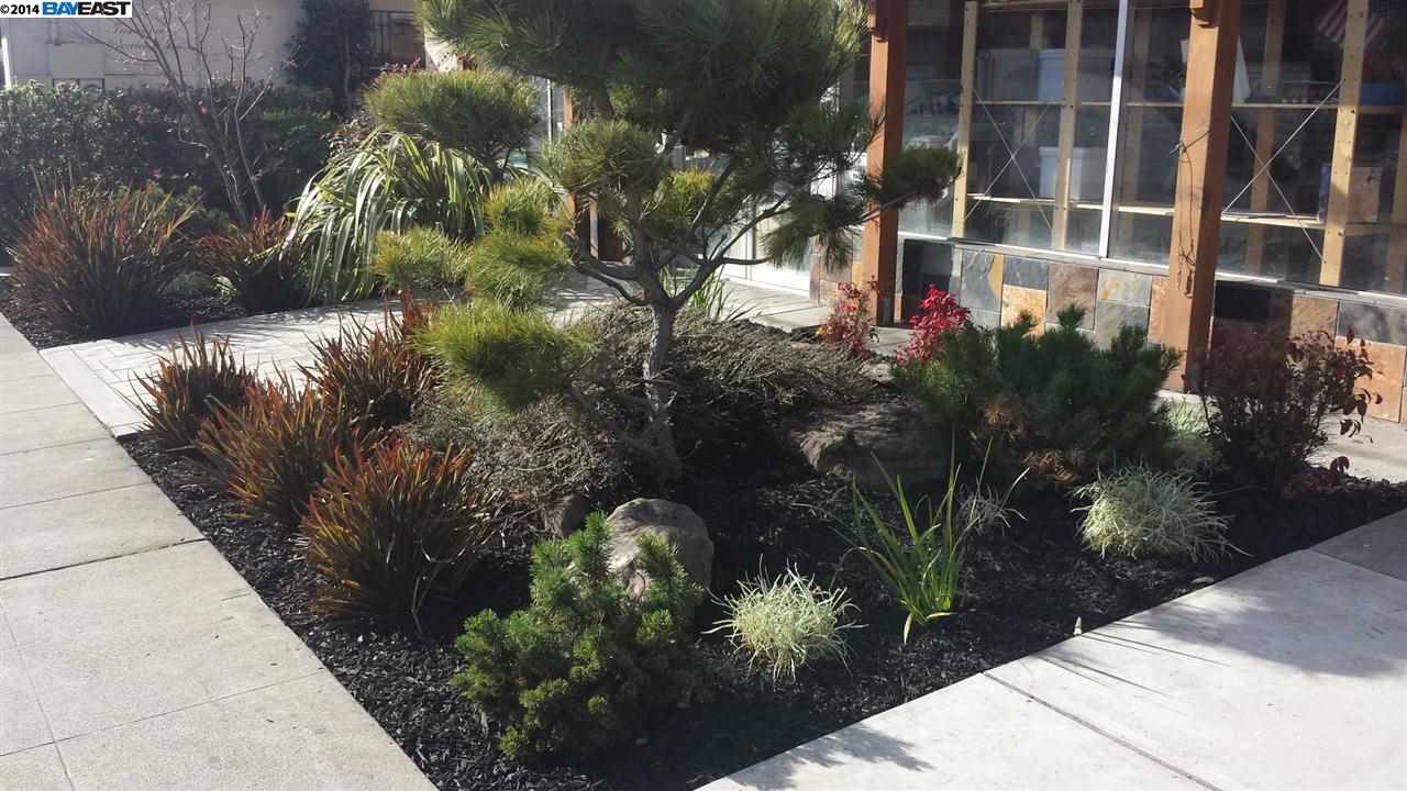 20579 SANTA MARIA AVE, CASTRO VALLEY, California 94546-5610, ,Comm Industrial For Lease,For Rent,SANTA MARIA AVE,40938928