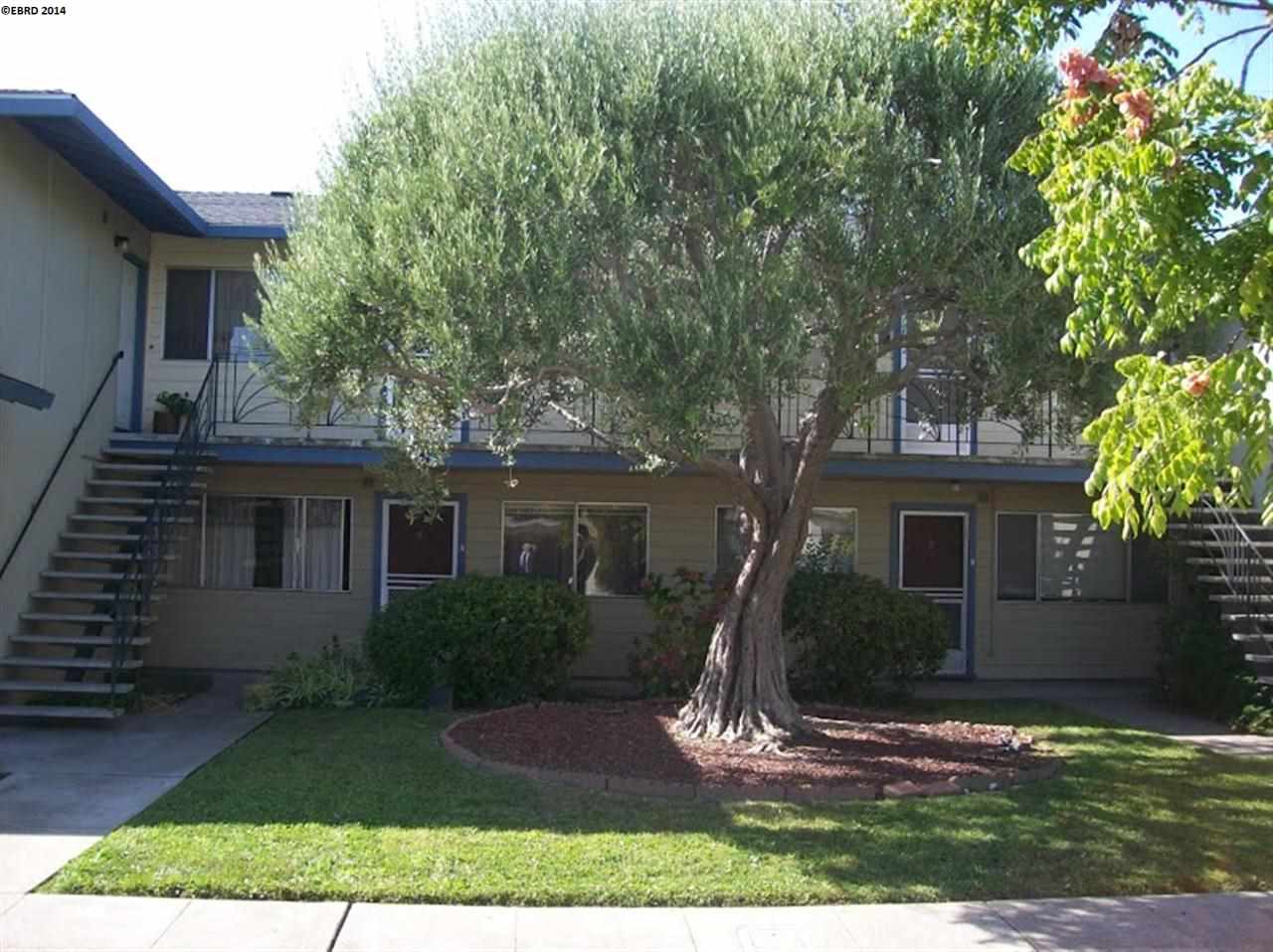 1455 Bay St, ALAMEDA, California 94501, ,Comm Ri Multi-units 5+,For Sale,Bay St,40652028