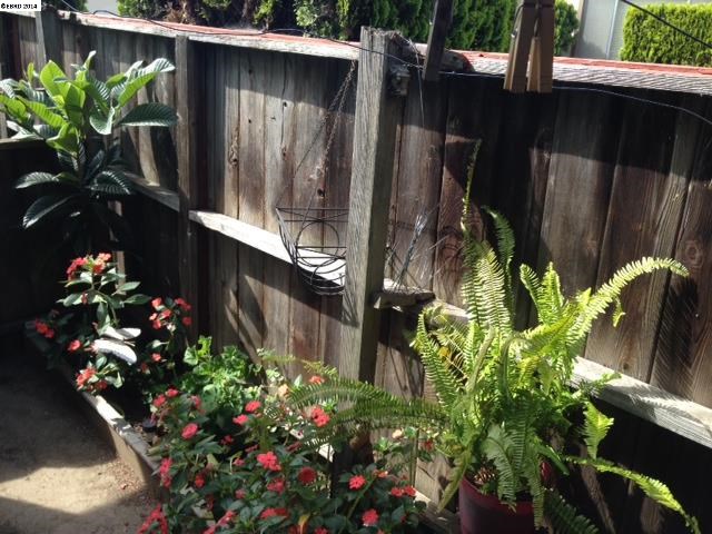 257 Willow, HAYWARD, California 94541-24188, ,Comm Ri Multi-units 5+,For Sale,Willow,40658022