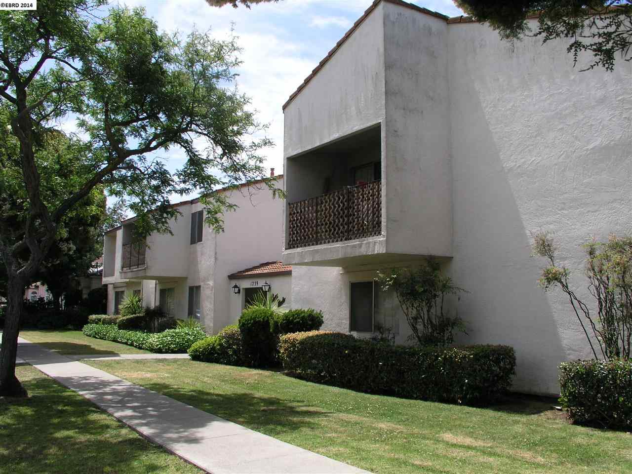 1239 Liberty Street, EL CERRITO, California 94530-2360, ,Comm Ri Multi-units 5+,For Sale,Liberty Street,40668874