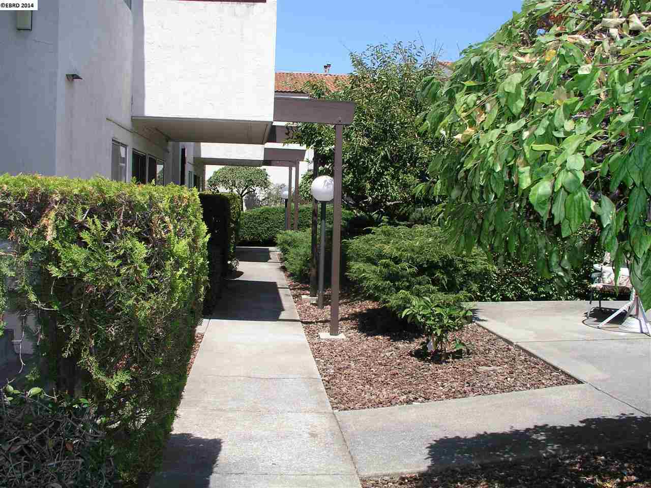 1239 Liberty Street, EL CERRITO, California 94530-2360, ,Comm Ri Multi-units 5+,For Sale,Liberty Street,40668874