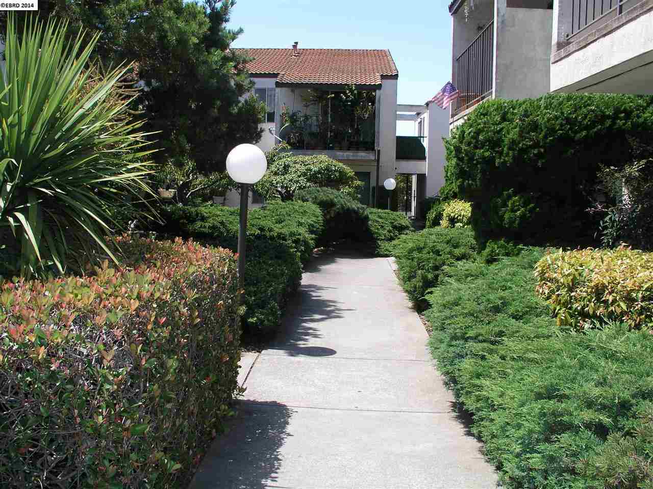1239 Liberty Street, EL CERRITO, California 94530-2360, ,Comm Ri Multi-units 5+,For Sale,Liberty Street,40668874