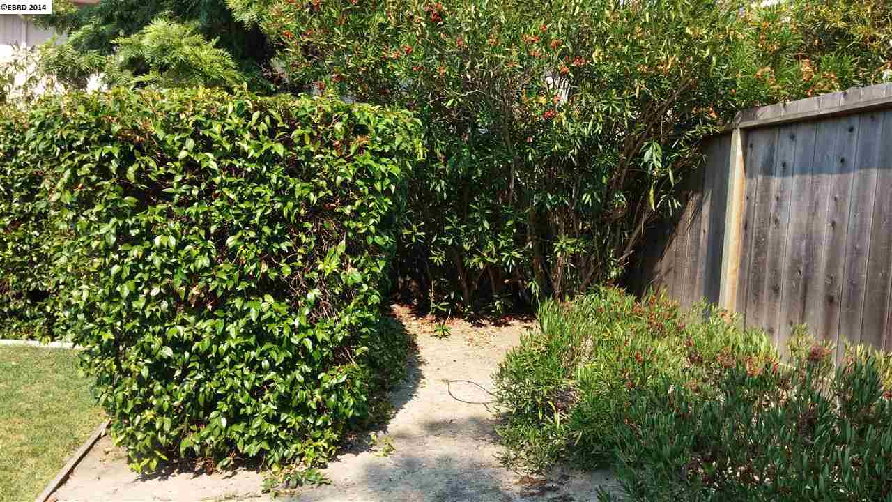 2370 San Juan Ave, WALNUT CREEK, California 94597, ,Comm Ri Multi-units 5+,For Sale,San Juan Ave,40674640