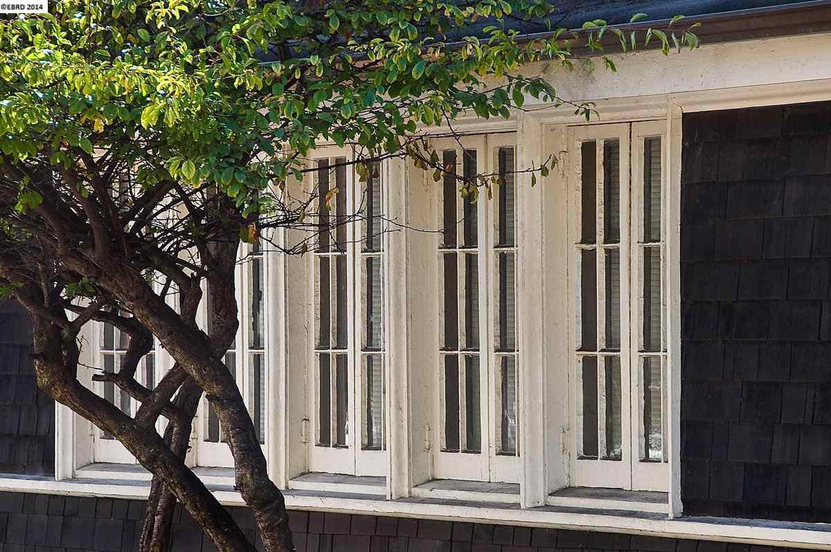 1770 La Loma, BERKELEY, California 94709-1039, ,Comm Ri Multi-units 5+,For Sale,La Loma,40676745