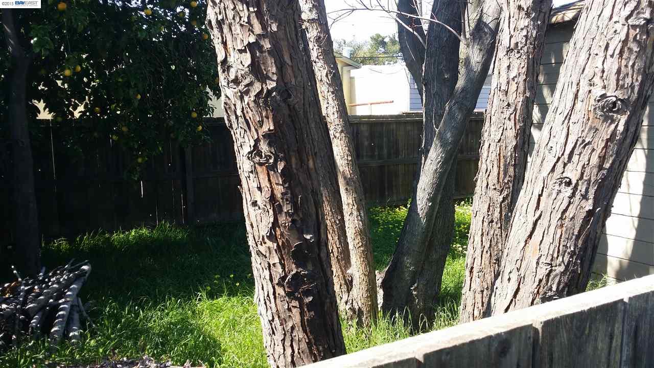 38-50 SAPONE LN, BAY POINT, California 94565-3326, ,Comm Ri Multi-units 5+,For Sale,SAPONE LN,40685254