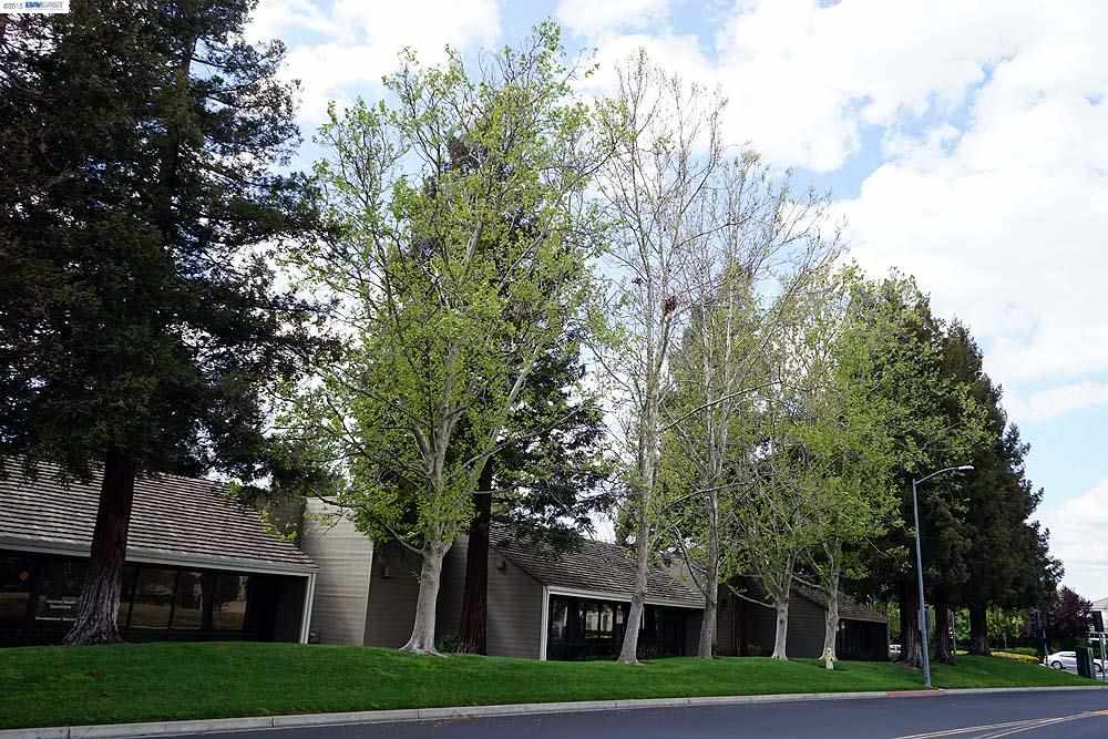 4471-B Stoneridge Dr., PLEASANTON, California 94588, ,Comm Industrial For Lease,For Rent,Stoneridge Dr.,40939888