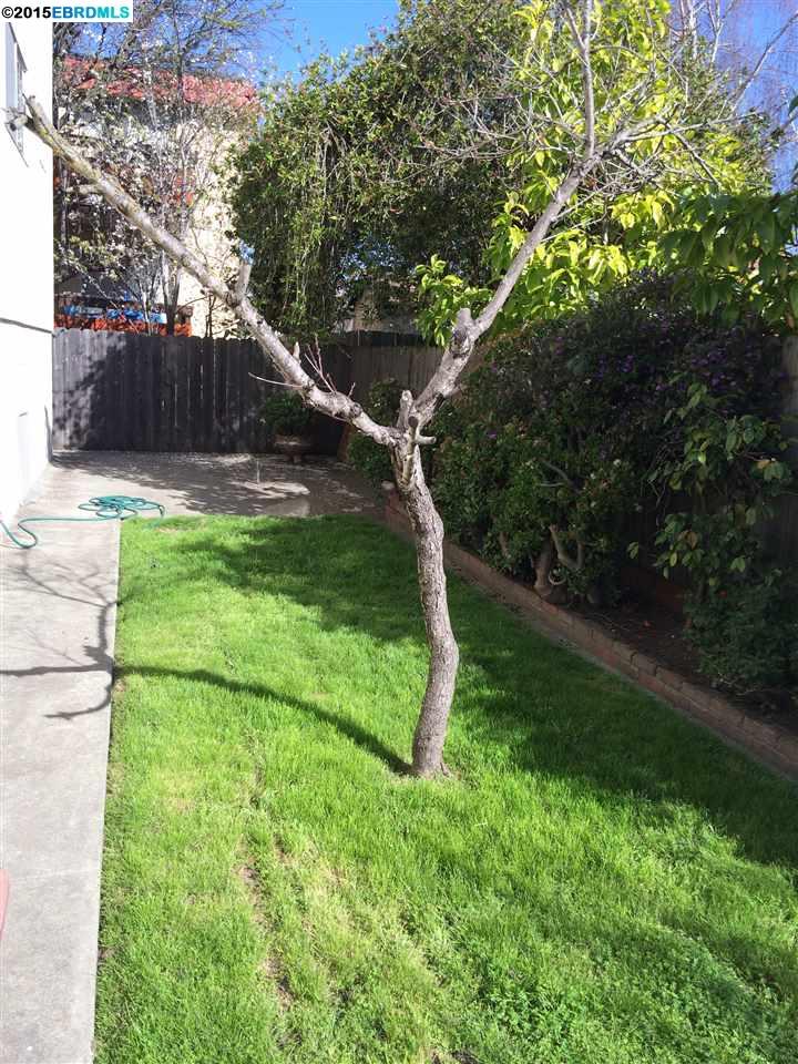 1009 Kains Avenue, ALBANY, California 94706, ,Comm Ri Multi-units 5+,For Sale,Kains Avenue,40692359