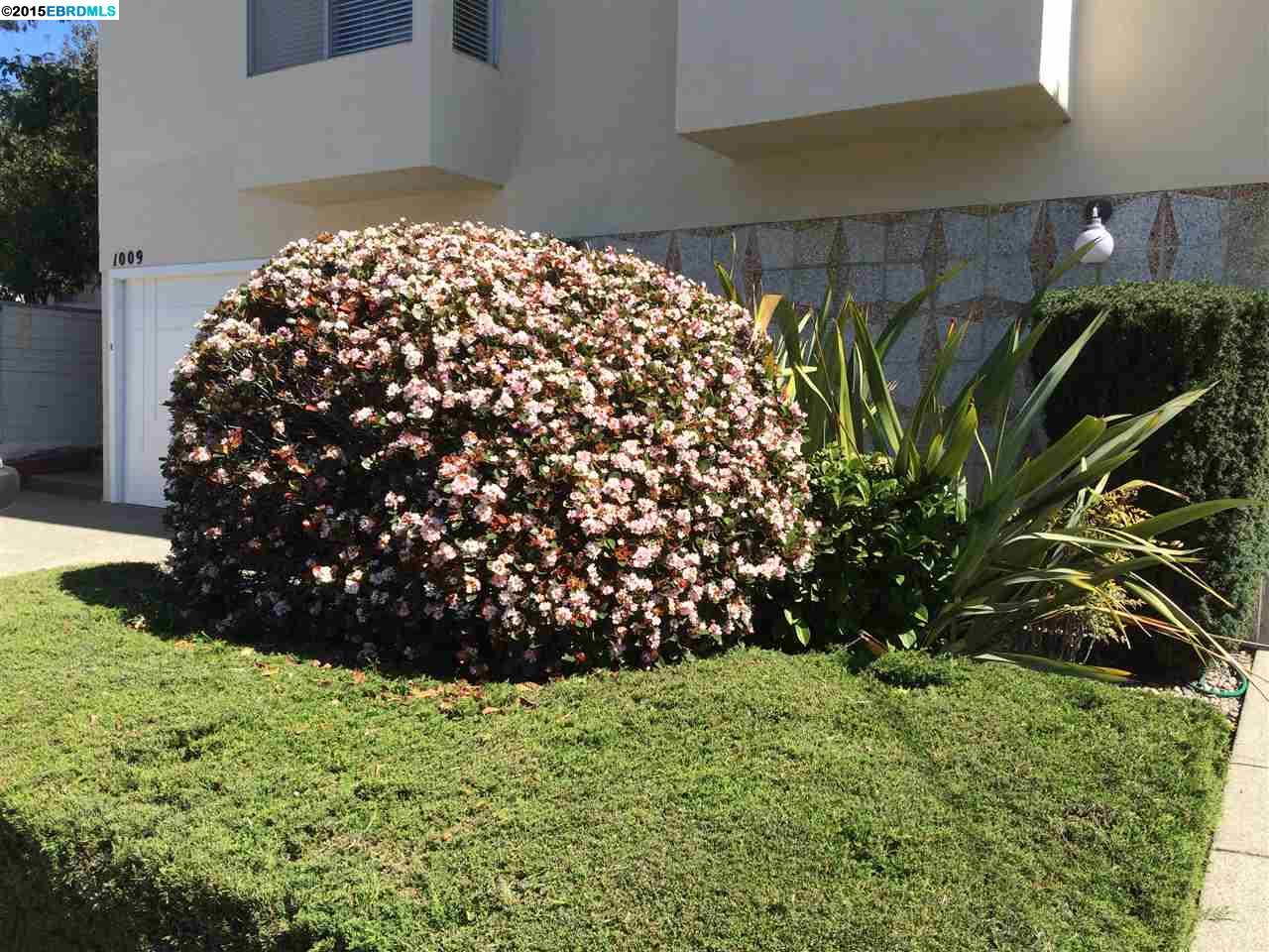 1009 Kains Avenue, ALBANY, California 94706, ,Comm Ri Multi-units 5+,For Sale,Kains Avenue,40692359