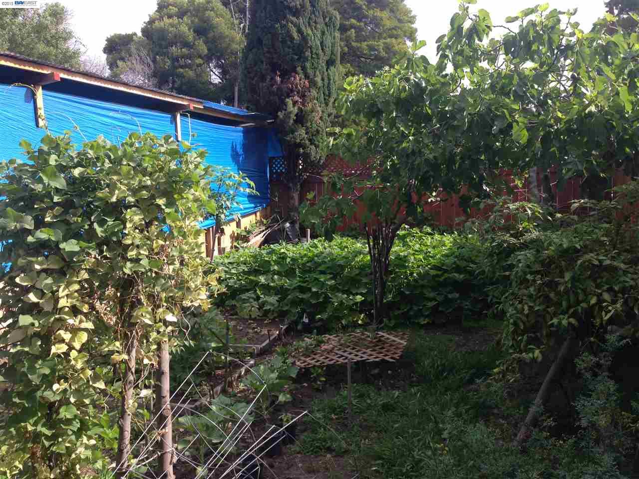 4546 International Blvd, OAKLAND, California 94601, ,Comm Ri Multi-units 5+,For Sale,International Blvd,40702343