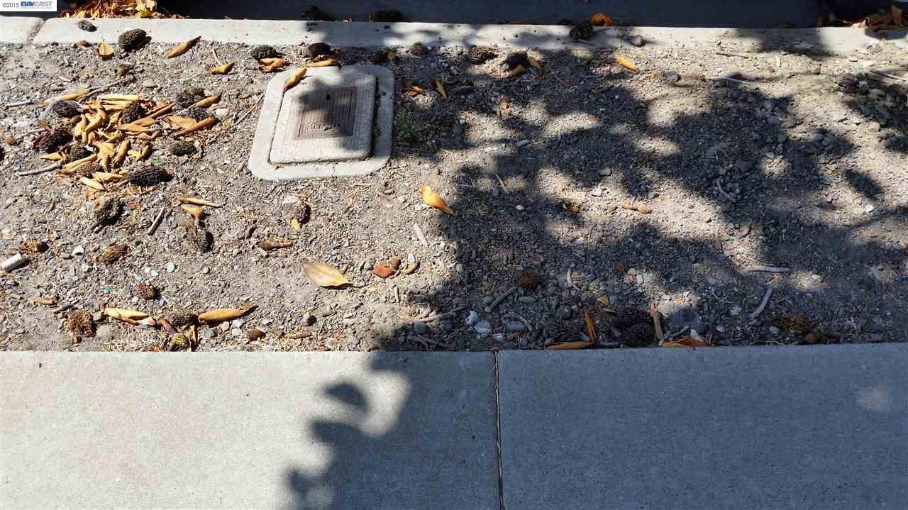 8084 thornton, NEWARK, California 94560, ,Comm Lots And Land,For Sale,thornton,40934936