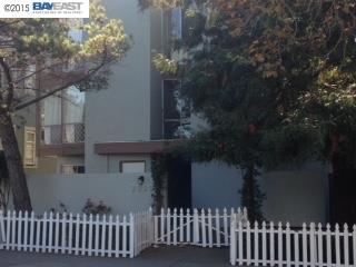 2020 Cedar St, BERKELEY, California 94709, ,Comm Ri Multi-units 5+,For Sale,Cedar St,40720527