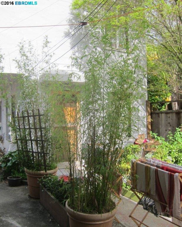 1801 ROSE STREET, BERKELEY, California 94703, ,Comm Ri Multi-units 5+,For Sale,ROSE STREET,40732268