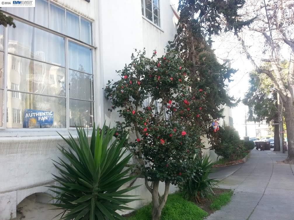 176 Athol Ave, OAKLAND, California 94606, ,Comm Ri Multi-units 5+,For Sale,Athol Ave,40733926