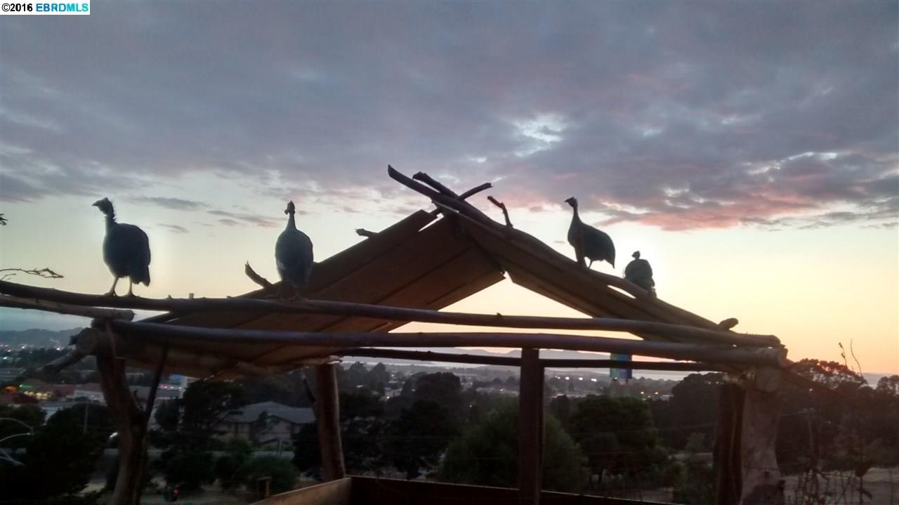 2700 San Pablo Dam Road, SAN PABLO, California 94806, ,Comm Lots And Land,For Sale,San Pablo Dam Road,40935116