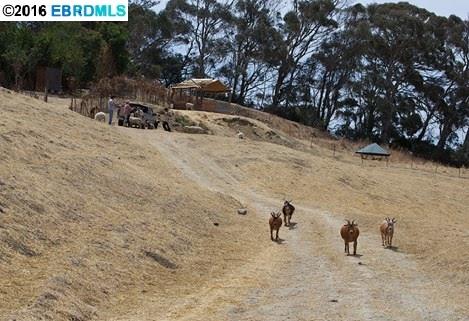 2700 San Pablo Dam Road, SAN PABLO, California 94806, ,Comm Lots And Land,For Sale,San Pablo Dam Road,40935116