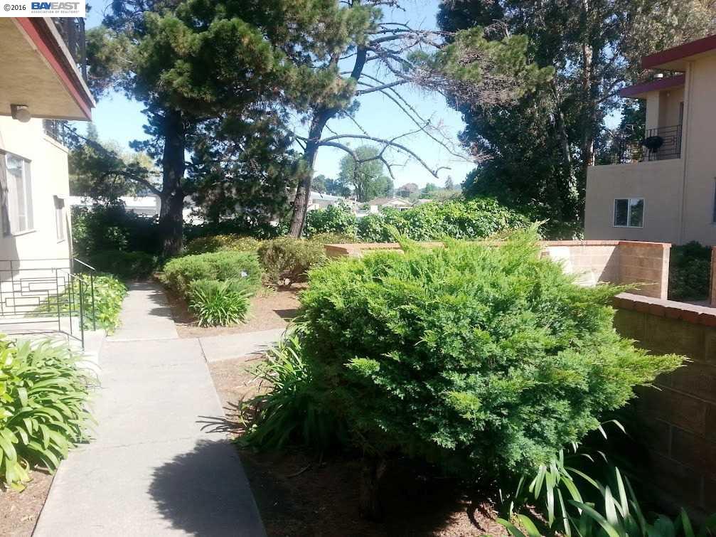2568 Grove Way, CASTRO VALLEY, California 94546, ,Comm Ri Multi-units 5+,For Sale,Grove Way,40744627