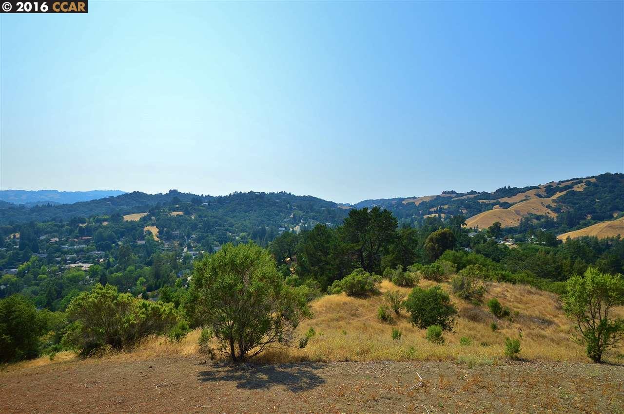 Lafayette, California Homes for Sale Real Estate in Lafayette, California