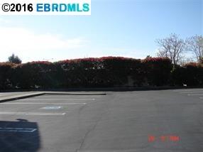 2810 Lone Tree Way, ANTIOCH, California 94509, ,Comm Industrial For Lease,For Rent,Lone Tree Way,40941864