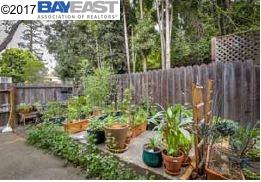 1729 MLK Way, BERKELEY, California 94709, ,Comm Ri Multi-units 5+,For Sale,MLK Way,40771777