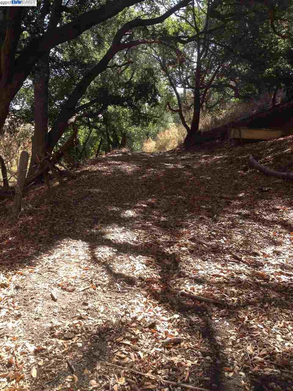 0 Mill Creek Rd, FREMONT, California 94539, ,Lots And Land,For Sale,Mill Creek Rd,1038