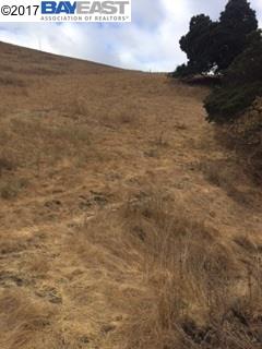 0 Mill Creek Rd, FREMONT, California 94539, ,Lots And Land,For Sale,Mill Creek Rd,1038