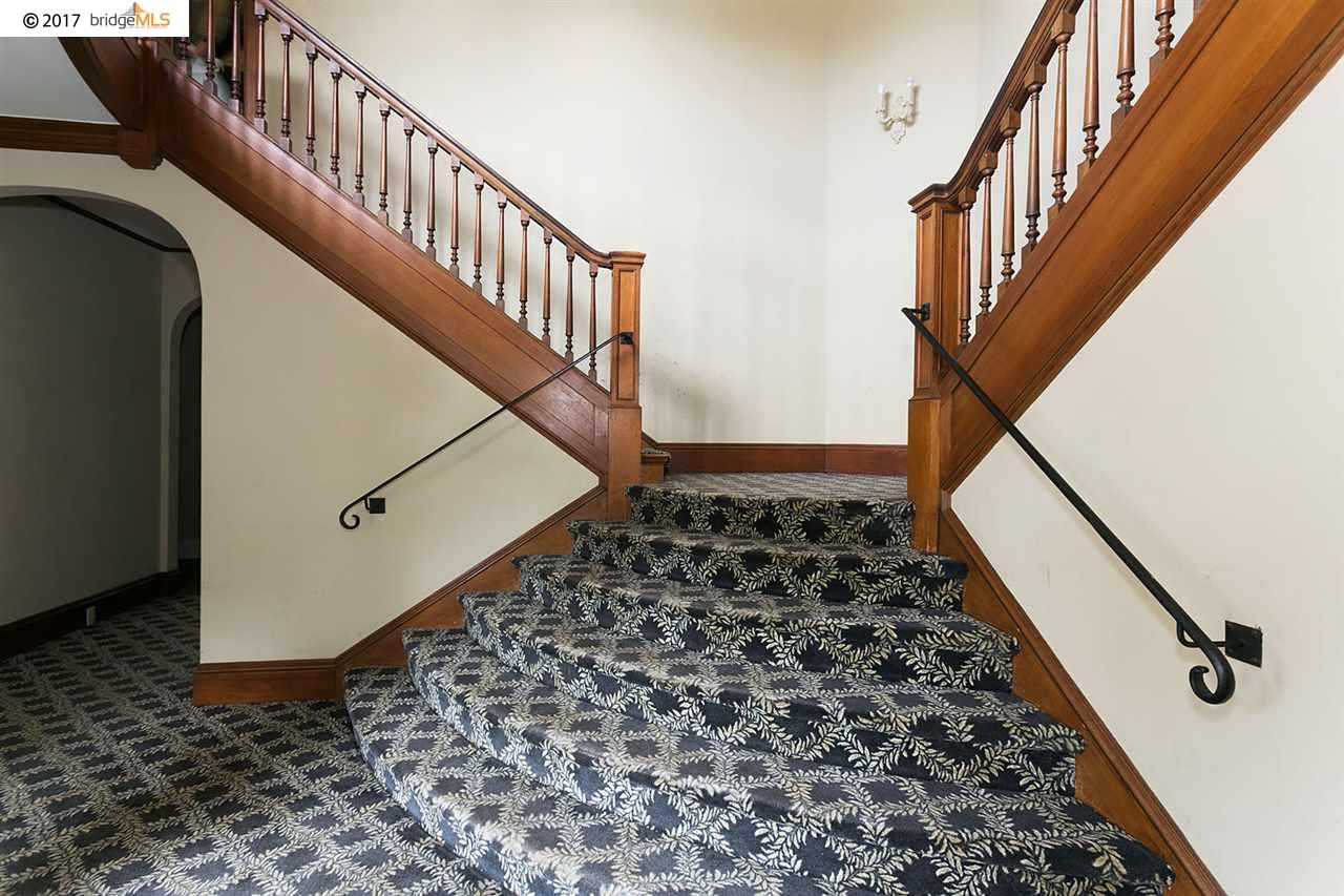 3141 COLLEGE AVENUE, BERKELEY, California 94705, ,Comm Ri Multi-units 5+,For Sale,COLLEGE AVENUE,40801557