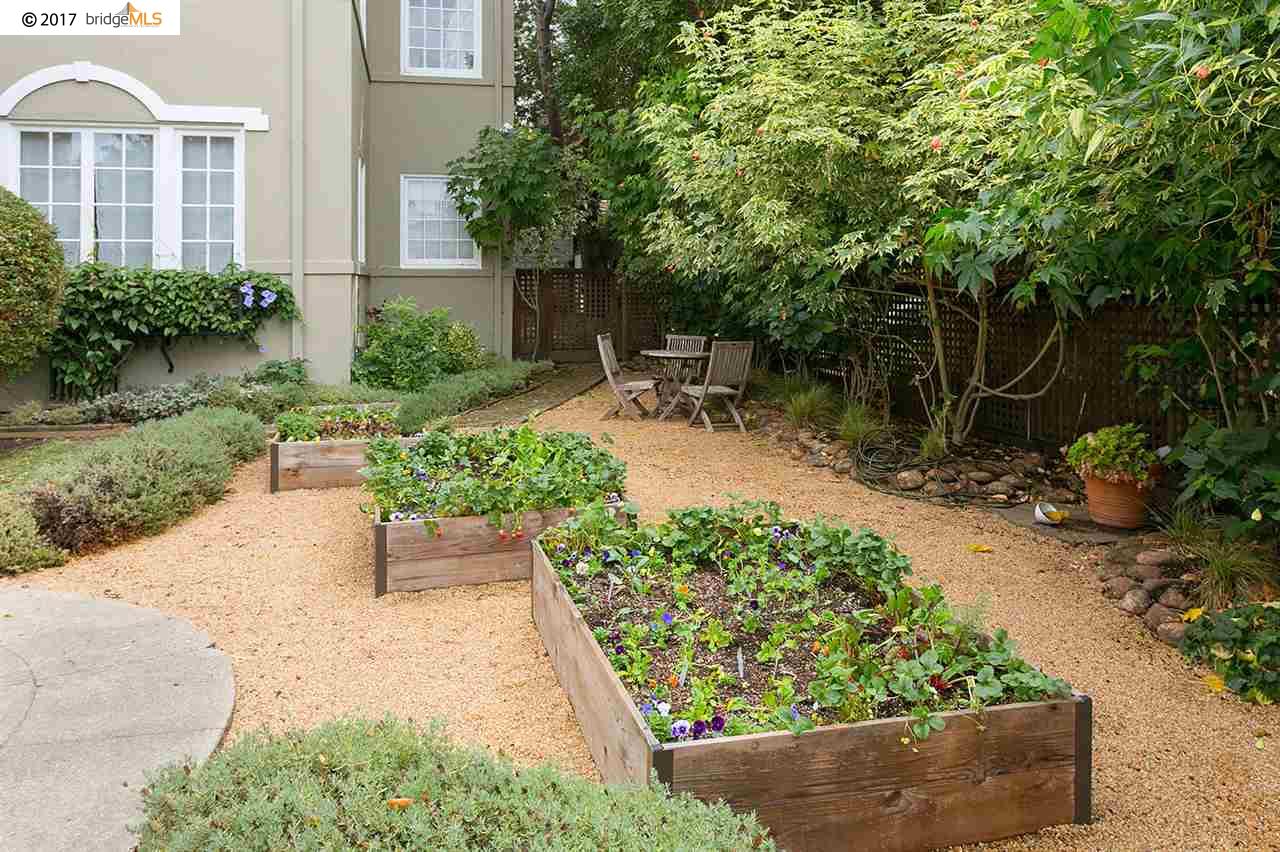 3141 COLLEGE AVENUE, BERKELEY, California 94705, ,Comm Ri Multi-units 5+,For Sale,COLLEGE AVENUE,40801557