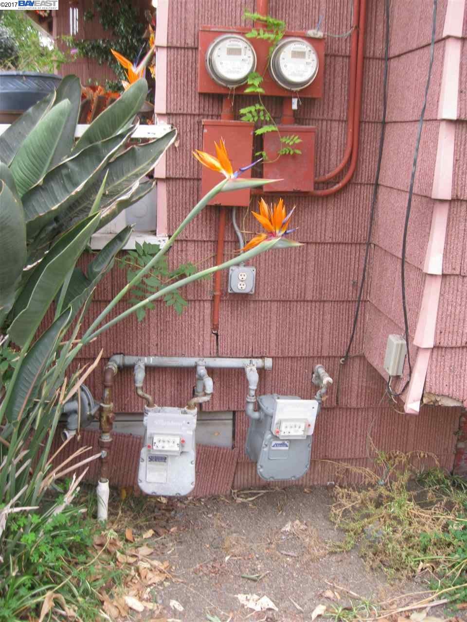 36954 Olive St, NEWARK, California 94560, ,Comm Ri Multi-units 5+,For Sale,Olive St,40804182