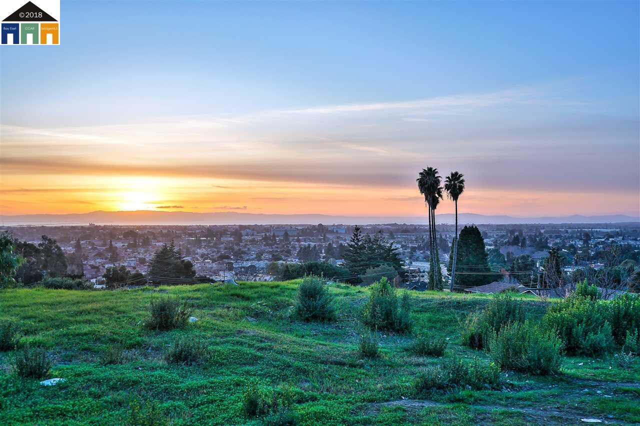 1198 Overlook Ave, HAYWARD, California 94542, ,Lots And Land,For Sale,Overlook Ave,40963643