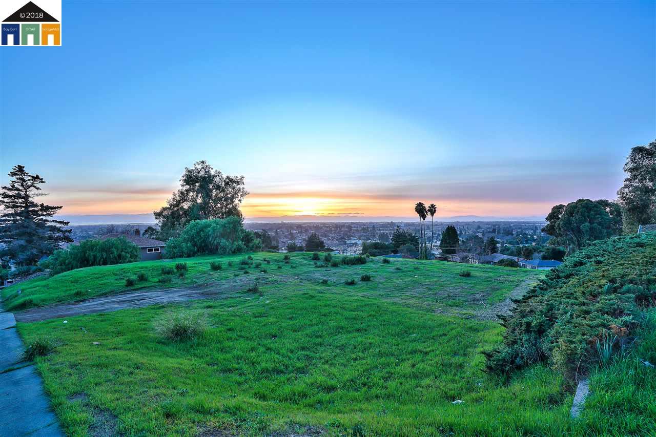 1198 Overlook Ave, HAYWARD, California 94542, ,Lots And Land,For Sale,Overlook Ave,40963643